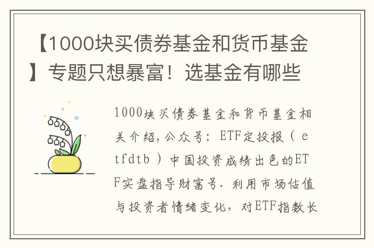 【1000块买债券基金和货币基金】专题只想暴富!选基金有哪些好办法?除了定投,投资基金有哪些技巧?