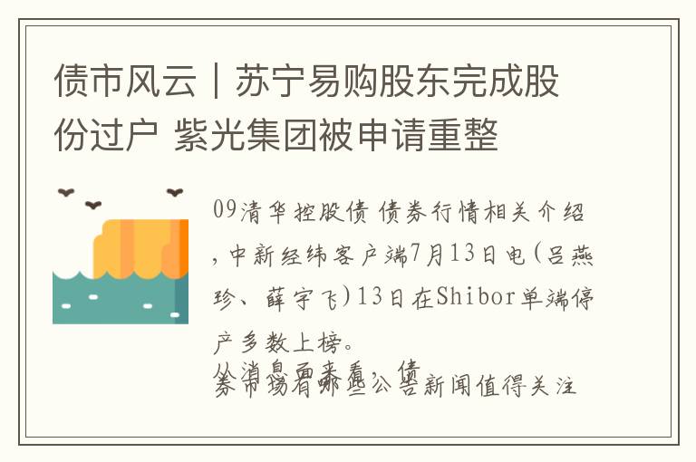 债市风云｜苏宁易购股东完成股份过户 紫光集团被申请重整