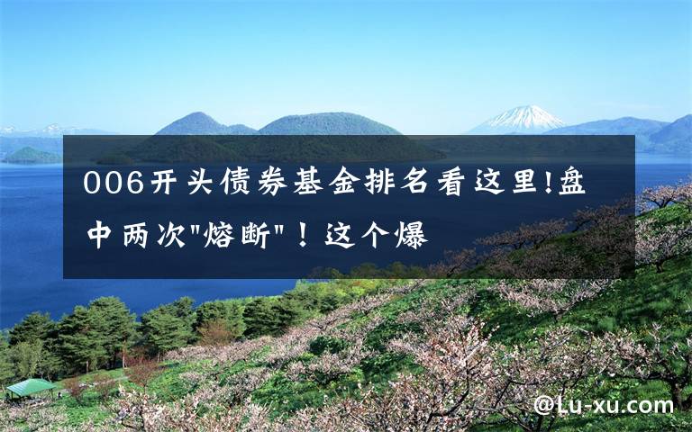 006开头债券基金排名看这里!盘中两次"熔断"！这个爆雷债券又大跌了