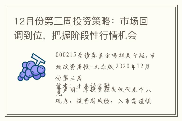 12月份第三周投资策略:市场回调到位,把握阶段性行情机会