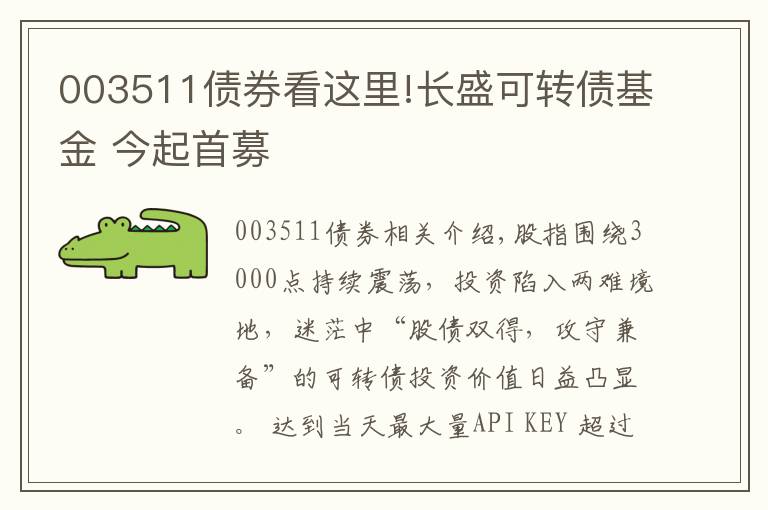 003511债券看这里!长盛可转债基金 今起首募