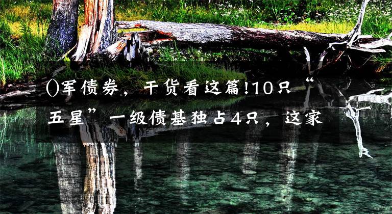 ()军债券，干货看这篇!10只“五星”一级债基独占4只，这家公司凭什么？