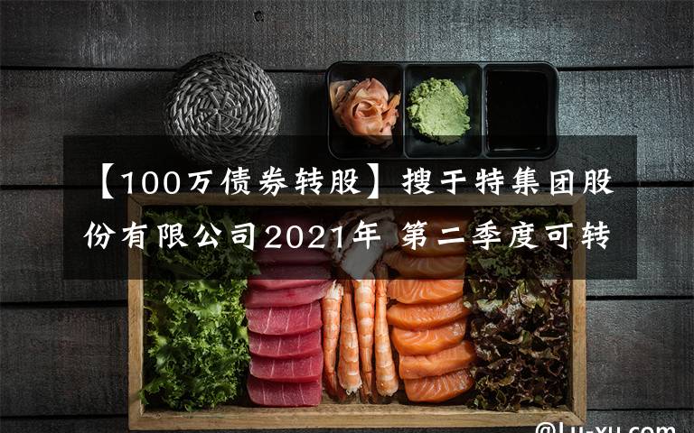 【100万债券转股】搜于特集团股份有限公司2021年 第二季度可转换公司债券转股情况公告