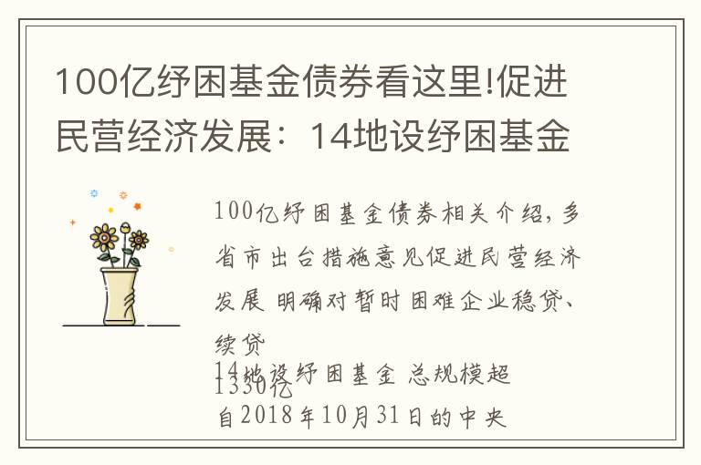 100亿纾困基金债券看这里!促进民营经济发展:14地设纾困基金 总规模超1330亿