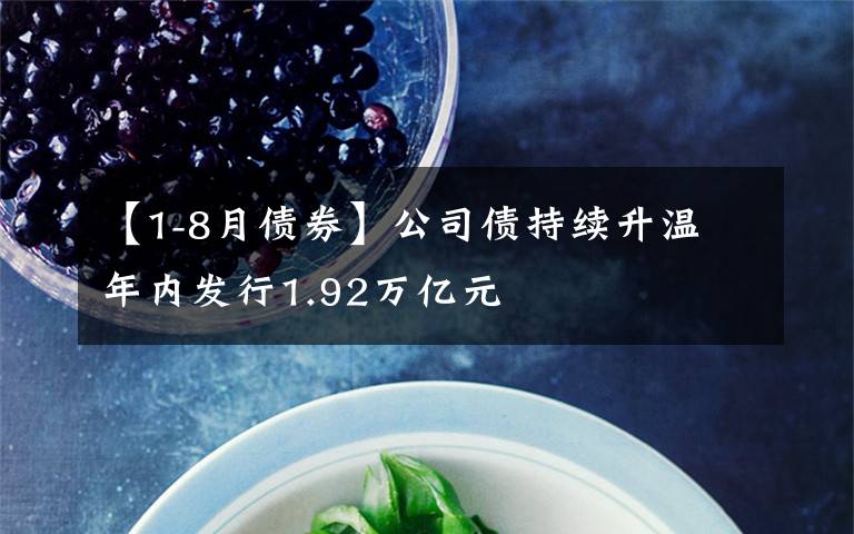 【1-8月债券】公司债持续升温 年内发行1.92万亿元