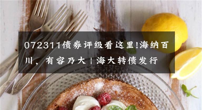 072311债券评级看这里!海纳百川,有容乃大 | 海大转债发行定价及申购建议