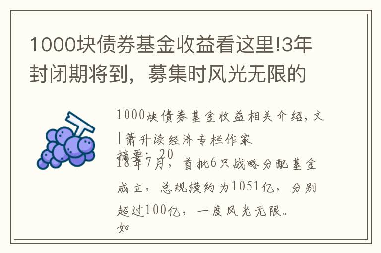 1000块债券基金收益看这里!3年封闭期将到，募集时风光无限的1000亿战略配售基金，原是个坑
