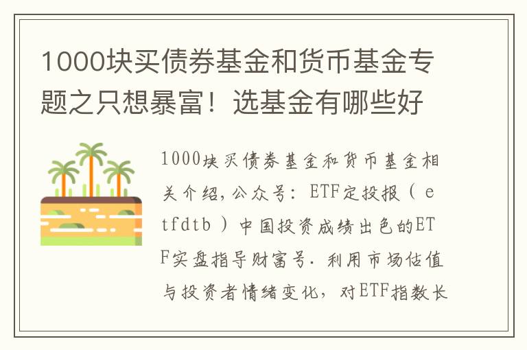 1000块买债券基金和货币基金专题之只想暴富!选基金有哪些好办法?除了定投,投资基金有哪些技巧?