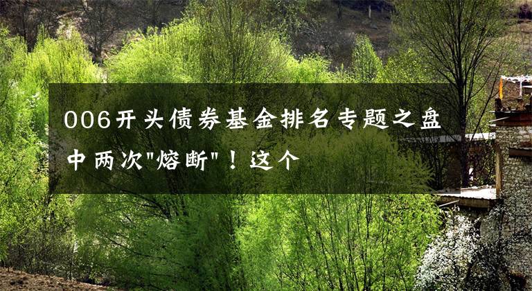 006开头债券基金排名专题之盘中两次"熔断"!这个爆雷债券又大跌了