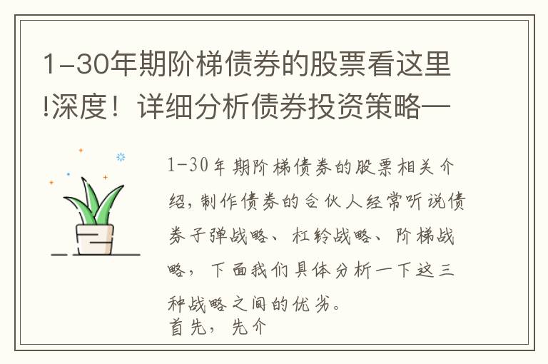 1-30年期阶梯债券的股票看这里!深度！详细分析债券投资策略——子弹策略、杠铃策略和阶梯策略