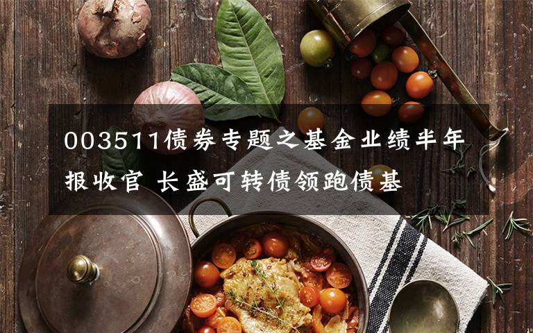 003511债券专题之基金业绩半年报收官 长盛可转债领跑债基