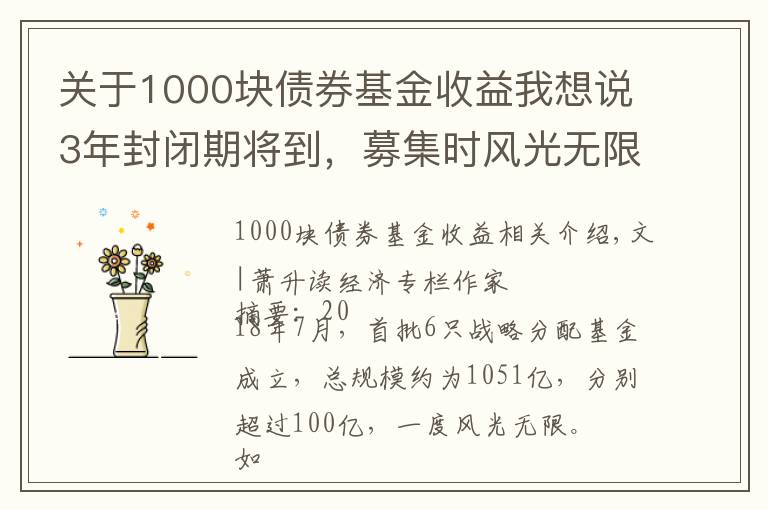 关于1000块债券基金收益我想说3年封闭期将到，募集时风光无限的1000亿战略配售基金，原是个坑