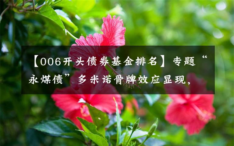 【006开头债券基金排名】专题“永煤债”多米诺骨牌效应显现，东海基金被调查