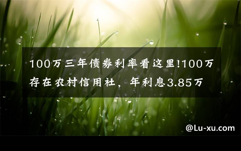 100万三年债券利率看这里!100万存在农村信用社，年利息3.85万，可以不上班了吗？