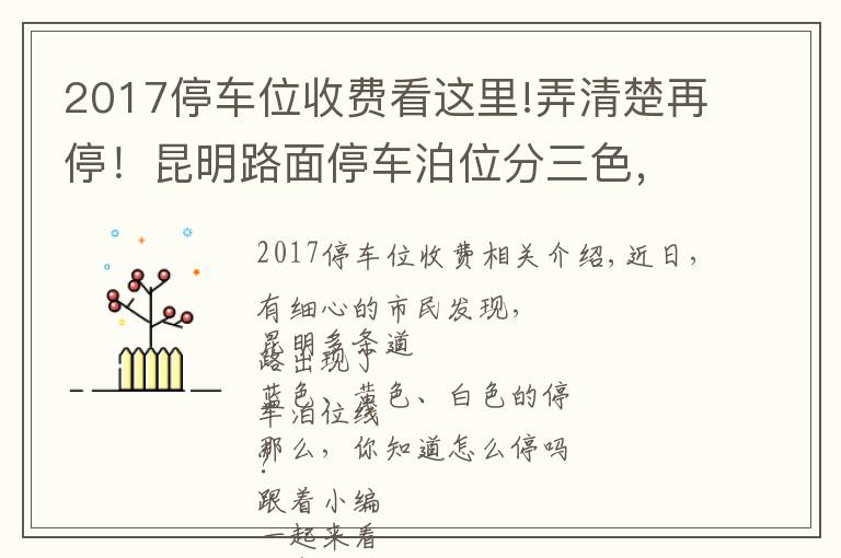 2017停车位收费看这里!弄清楚再停!昆明路面停车泊位分三色,按半小时计费