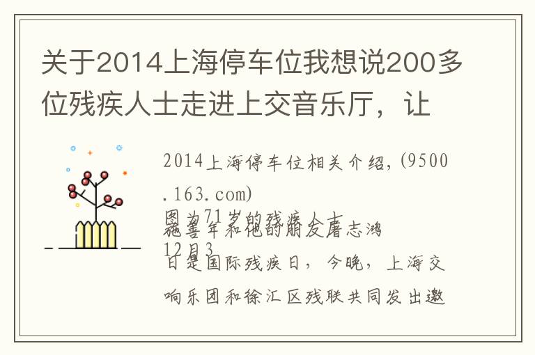 关于2014上海停车位我想说200多位残疾人士走进上交音乐厅,让艺术之光照拂特殊人群是城市软实力应有之意