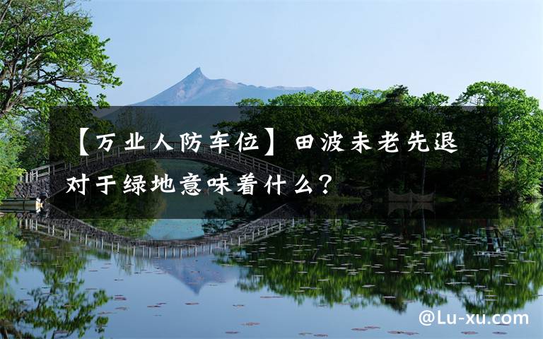 【万业人防车位】田波未老先退对于绿地意味着什么?