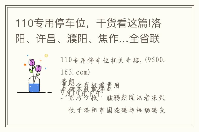 110专用停车位,干货看这篇!洛阳、许昌、濮阳、焦作…全省联动!停车收费乱象调查