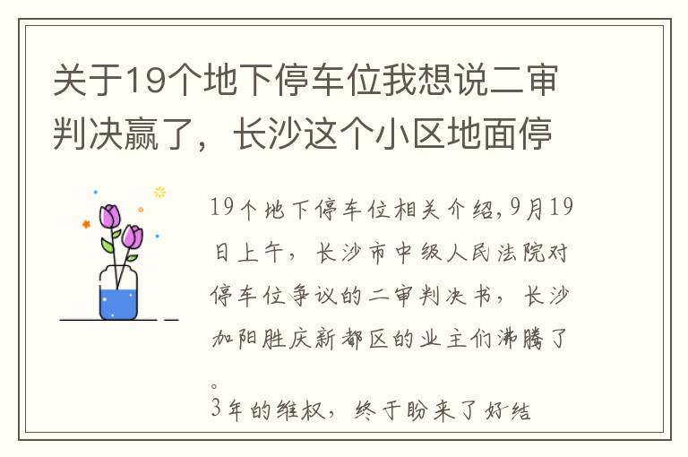 关于19个地下停车位我想说二审判决赢了,长沙这个小区地面停车位归全体业主所有
