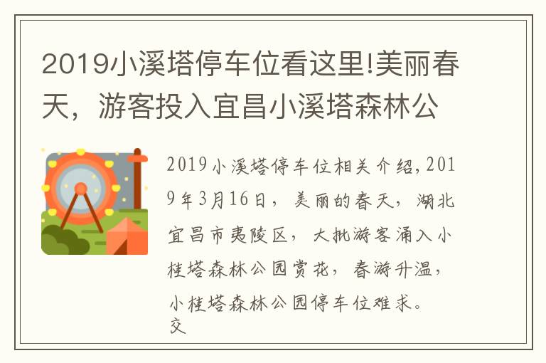 2019小溪塔停车位看这里!美丽春天，游客投入宜昌小溪塔森林公园怀抱；停车位难求