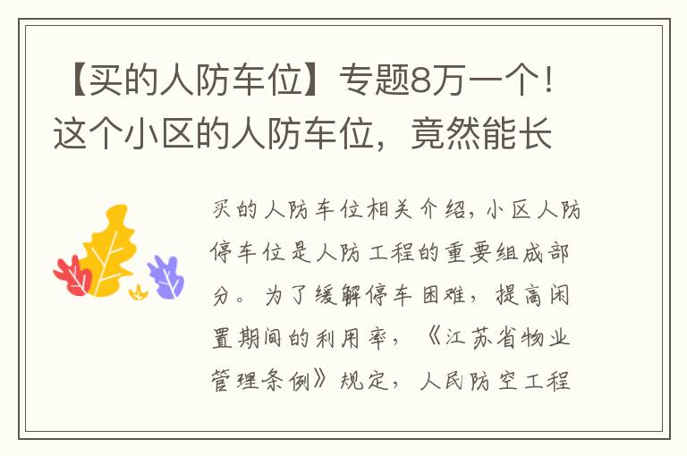 【买的人防车位】专题8万一个!这个小区的人防车位,竟然能长期转让使用权?