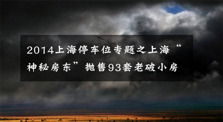 2014上海停车位专题之上海“神秘房东”抛售93套老破小房源,套现4.5亿?市民冒雨疯抢