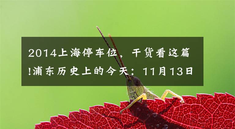 2014上海停车位,干货看这篇!浦东历史上的今天:11月13日