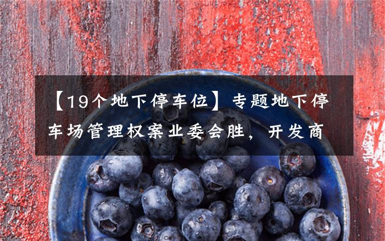 【19个地下停车位】专题地下停车场管理权案业委会胜,开发商败