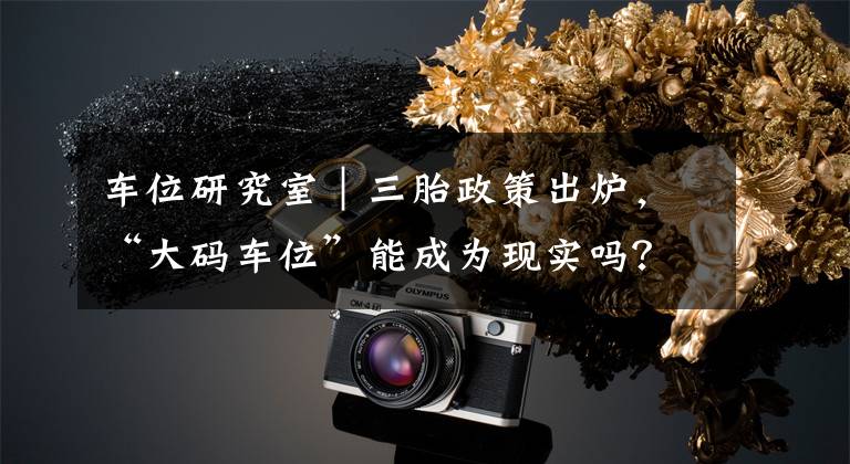 车位研究室|三胎政策出炉,“大码车位”能成为现实吗?