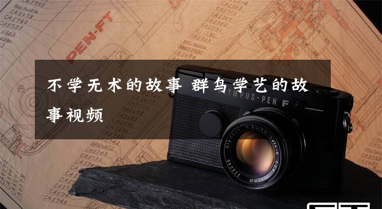 不学无术的故事 群鸟学艺的故事视频