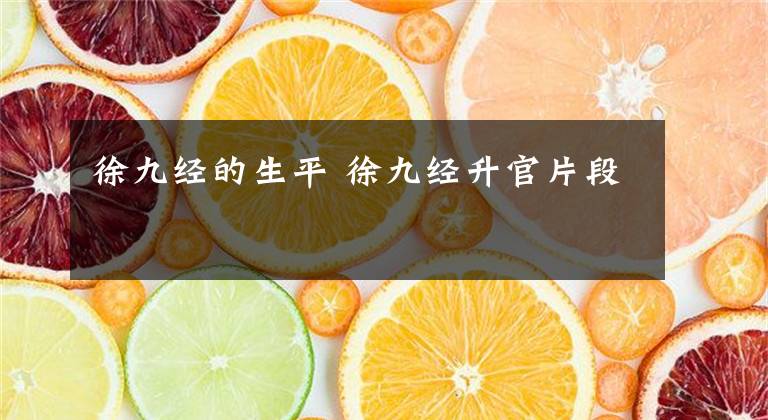 徐九经的生平 徐九经升官片段