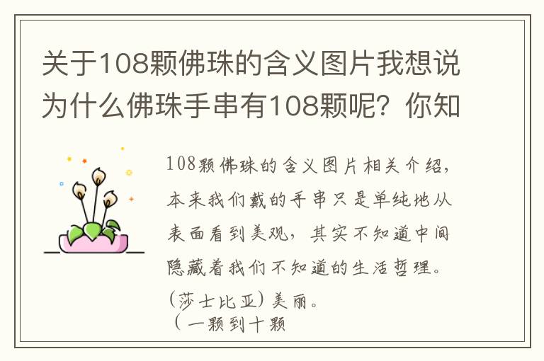关于108颗佛珠的含义图片我想说为什么佛珠手串有108颗呢?你知道他们的含义吗? (一颗到十颗)