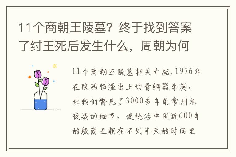 11个商朝王陵墓?终于找到答案了纣王死后发生什么,周朝为何背骂名也要挖殷商祖坟?考古发现真相