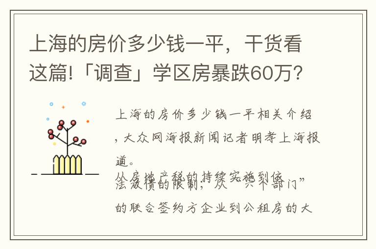 上海的房价多少钱一平,干货看这篇!「调查」学区房暴跌60万?看新政之下的上海房价现状