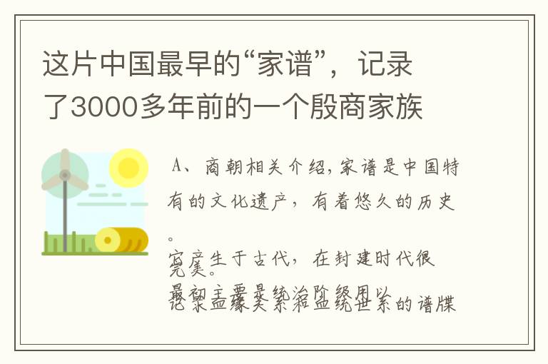 这片中国最早的“家谱”,记录了3000多年前的一个殷商家族