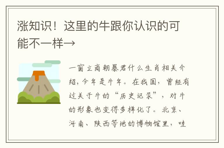 涨知识!这里的牛跟你认识的可能不一样→