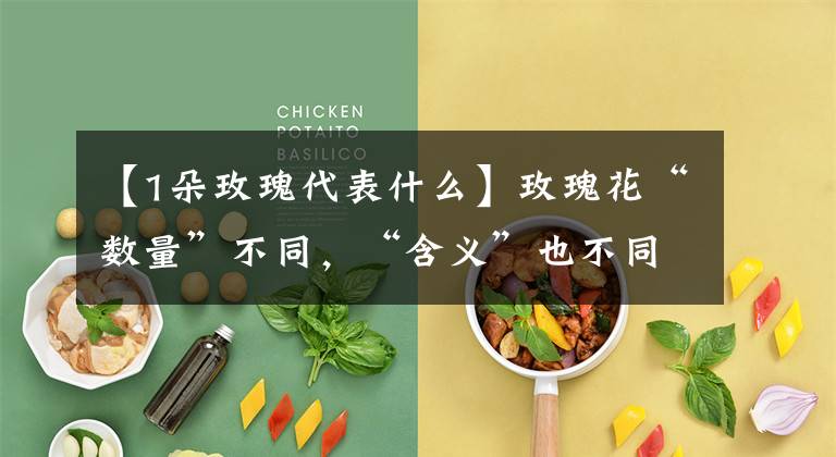 【1朵玫瑰代表什么】玫瑰花“数量”不同,“含义”也不同,送错了容易闹笑话