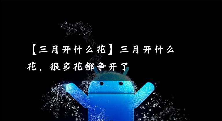 【三月开什么花】三月开什么花,很多花都争开了