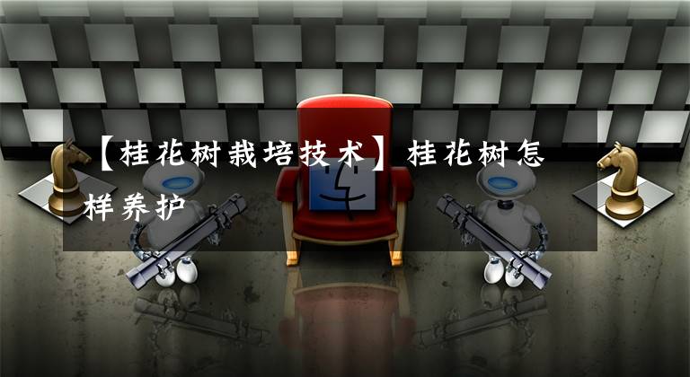 【桂花树栽培技术】桂花树怎样养护