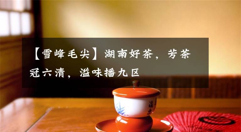 【雪峰毛尖】湖南好茶，芳茶冠六清，溢味播九区