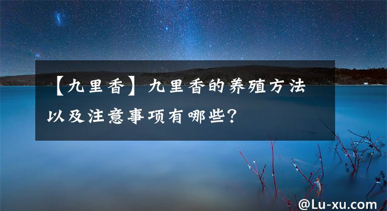 【九里香】九里香的养殖方法以及注意事项有哪些?