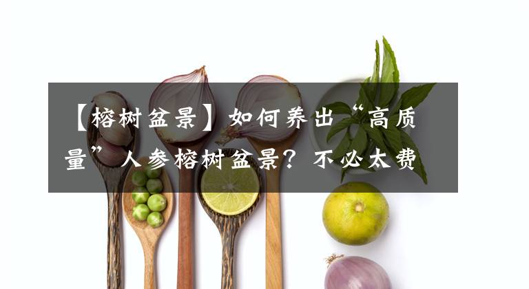 【榕树盆景】如何养出“高质量”人参榕树盆景?不必太费劲,注意基础养护工作