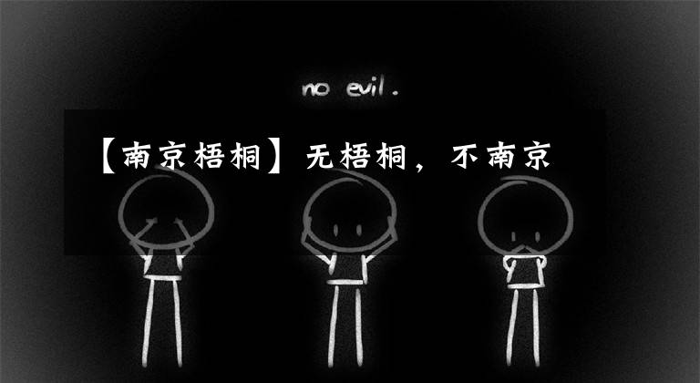 【南京梧桐】无梧桐,不南京