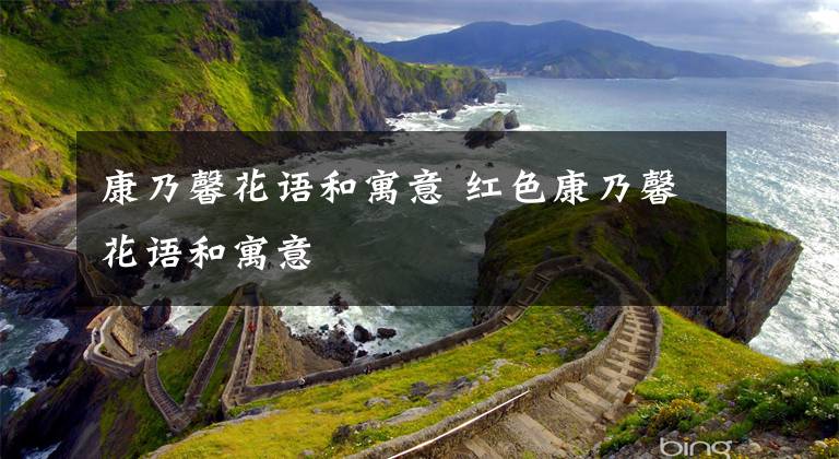 康乃馨花语和寓意 红色康乃馨花语和寓意