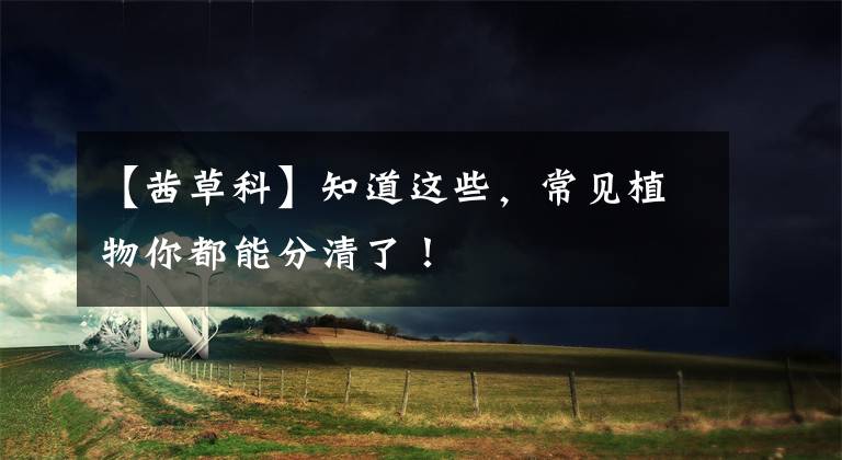 【茜草科】知道这些,常见植物你都能分清了!