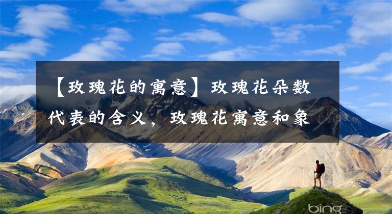 【玫瑰花的寓意】玫瑰花朵数代表的含义，玫瑰花寓意和象征