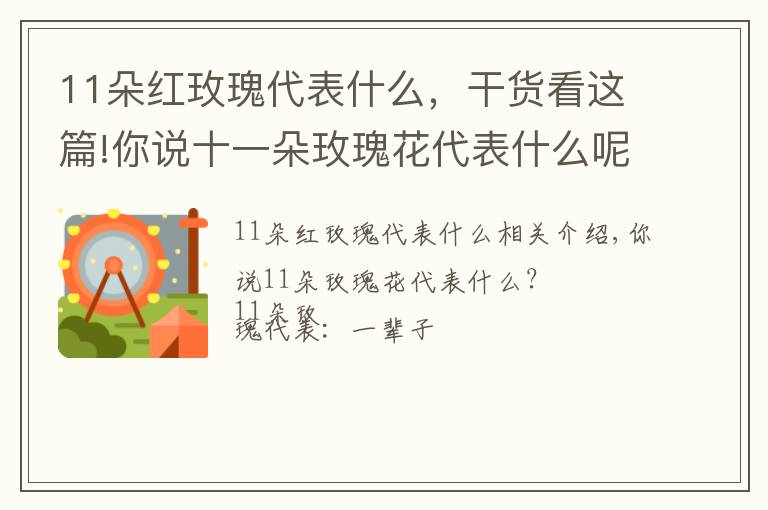 11朵红玫瑰代表什么,干货看这篇!你说十一朵玫瑰花代表什么呢?十一朵玫瑰代表:一生一世