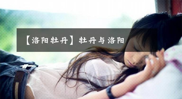 【洛阳牡丹】牡丹与洛阳