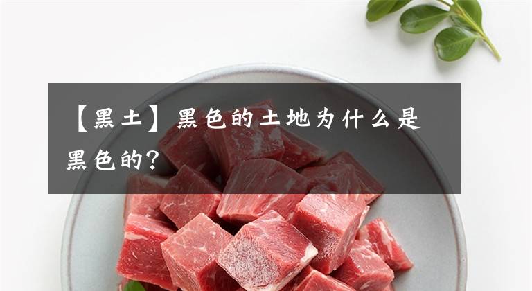 【黑土】黑色的土地为什么是黑色的?