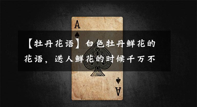 【牡丹花语】白色牡丹鲜花的花语,送人鲜花的时候千万不要送错哟
